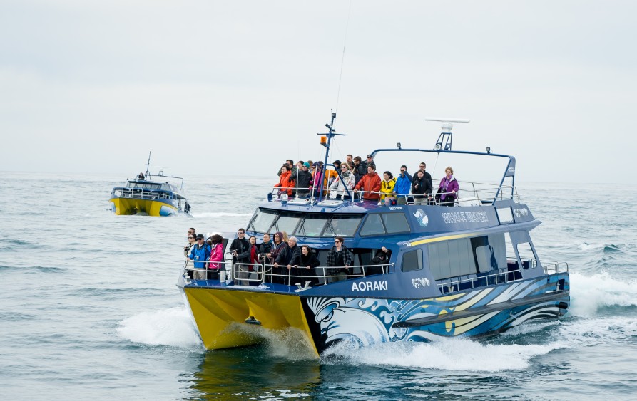 "" Whale Watch Vessels