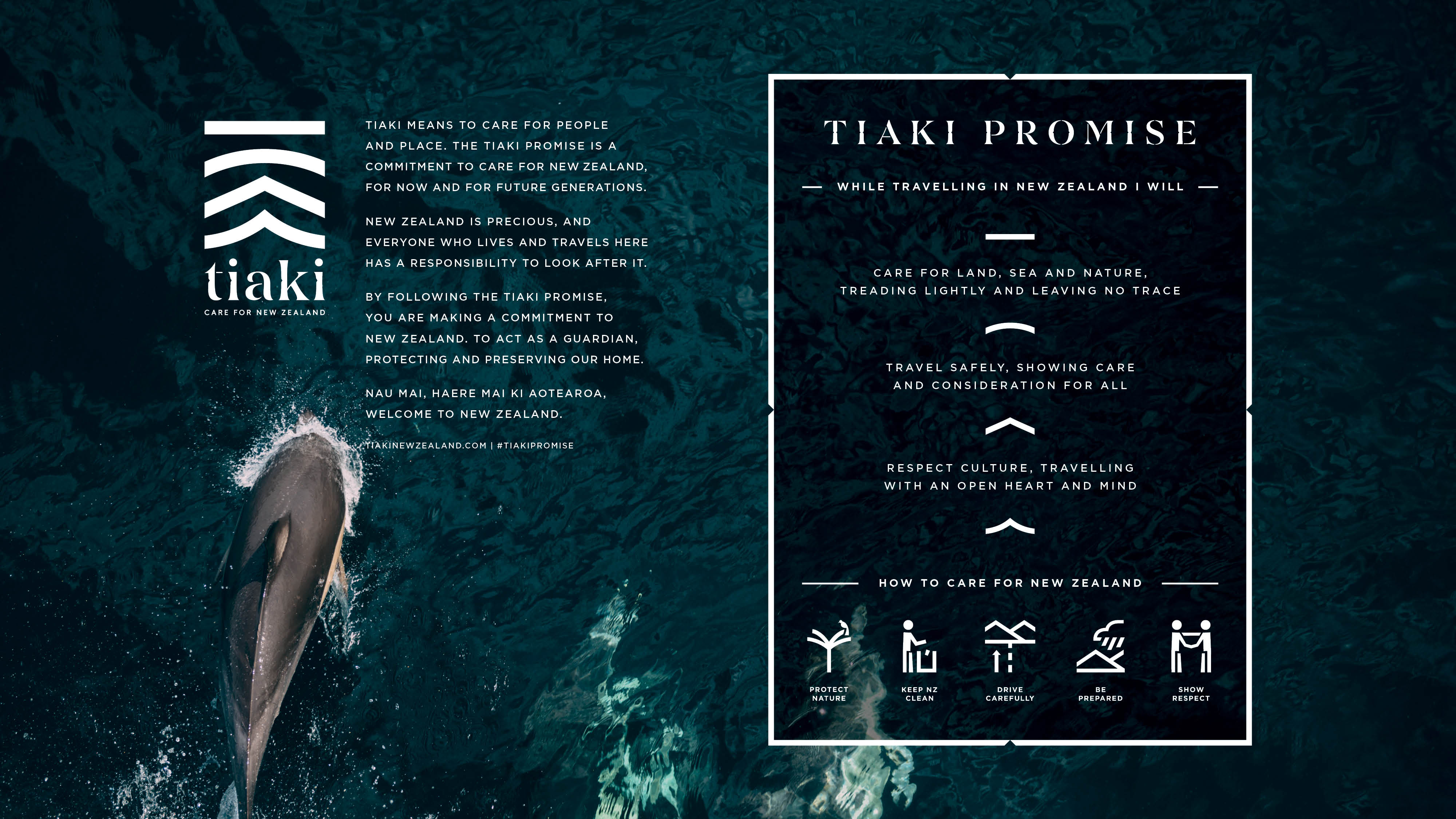 233167 tiaki information with whale imagery