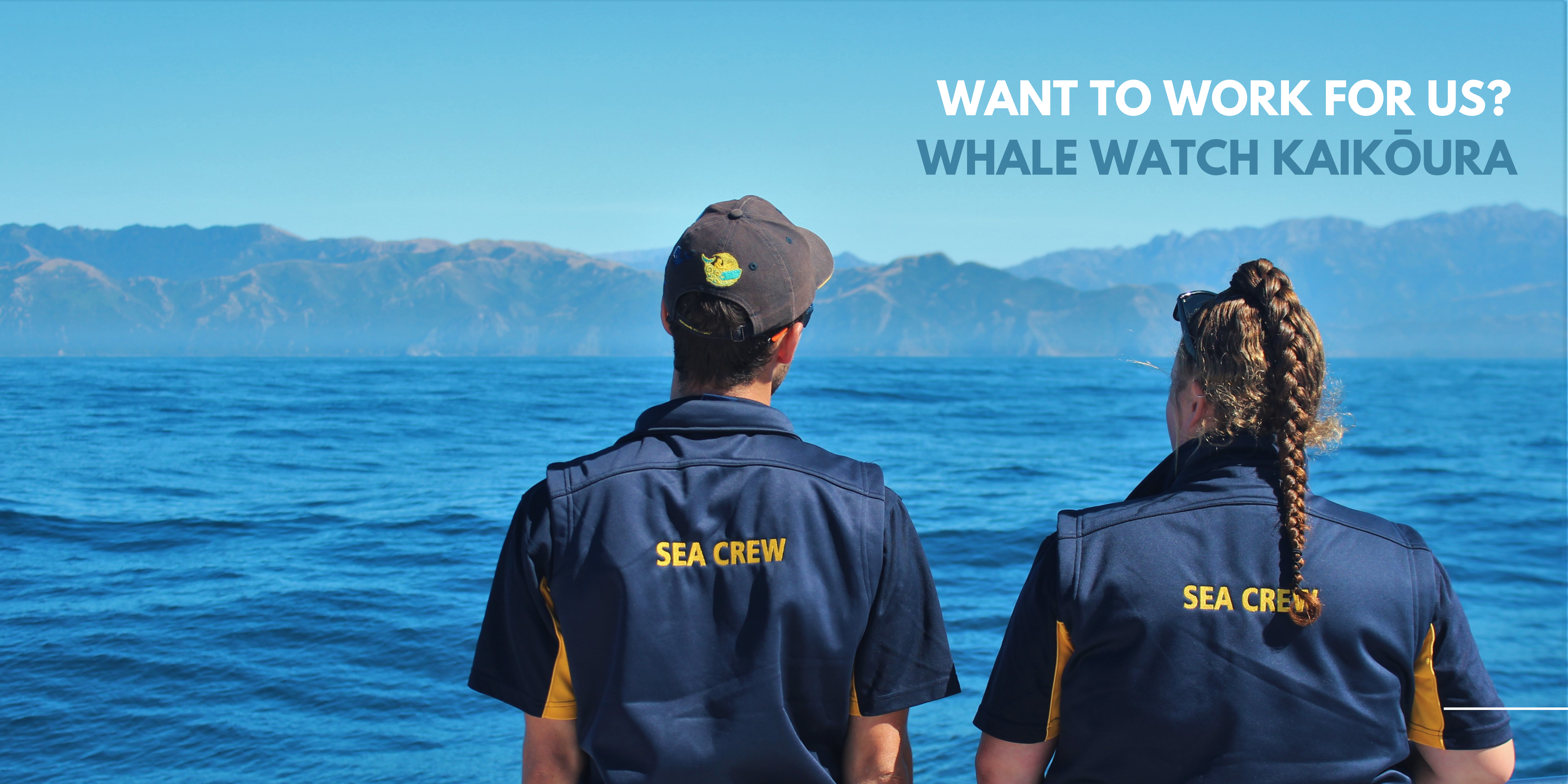 Kiwi Whale Watchers club 6