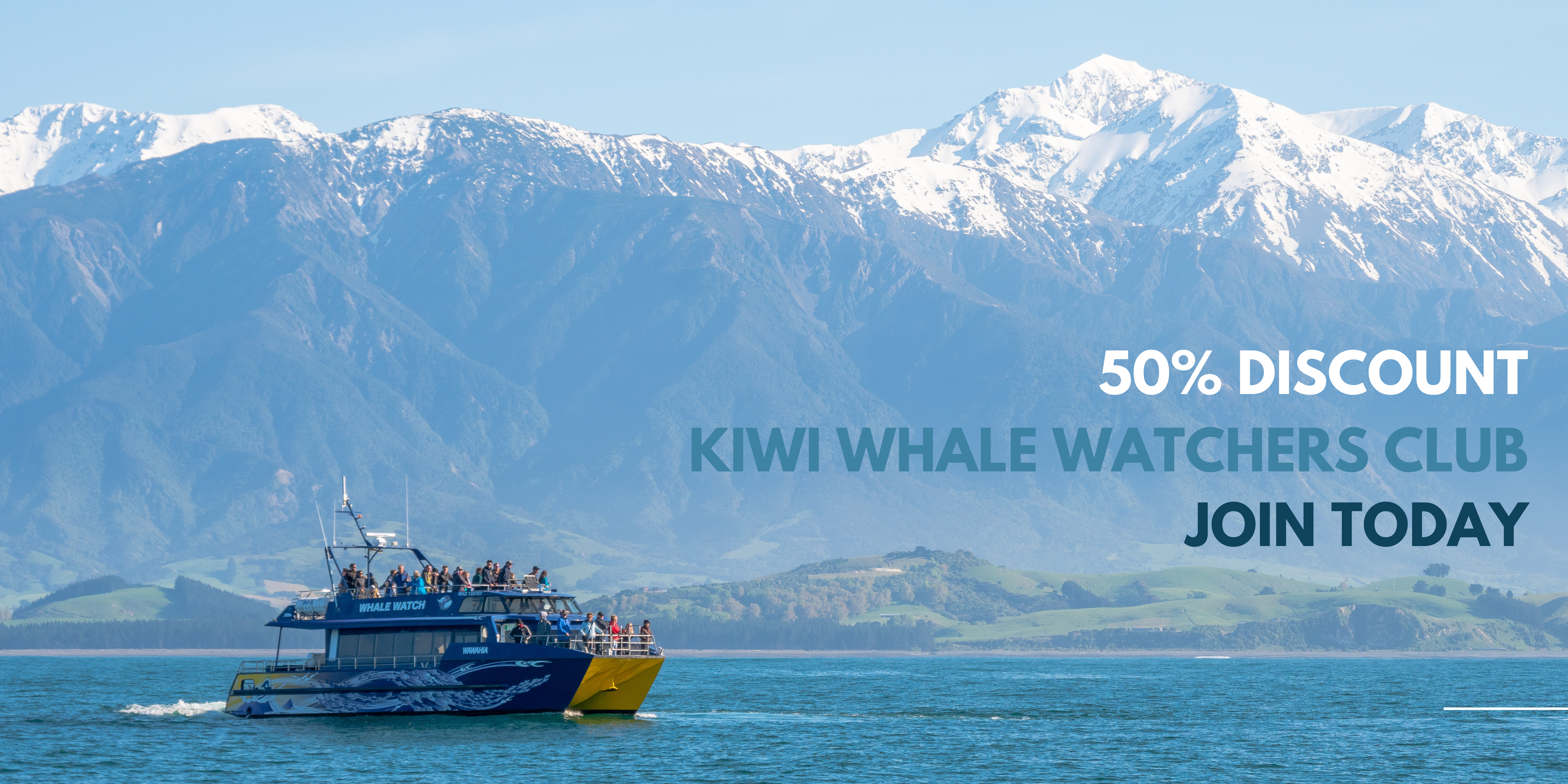 Kiwi Whale Watchers club