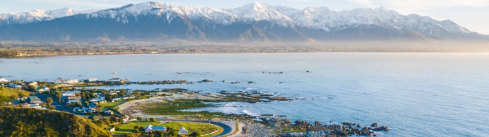 Whale Watch Tours Kaikōura Day Tours