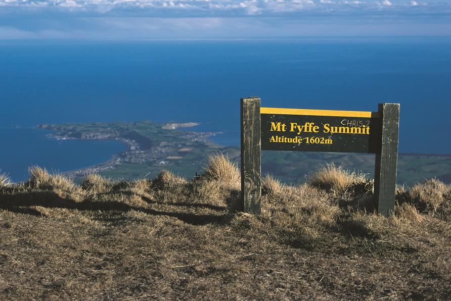 Things To Do In Kaikōura New Zealand