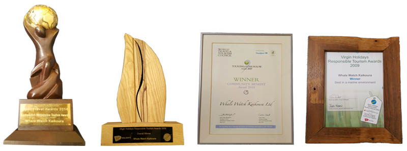 Environmental awards won by Whale Watch Kaikoura.
