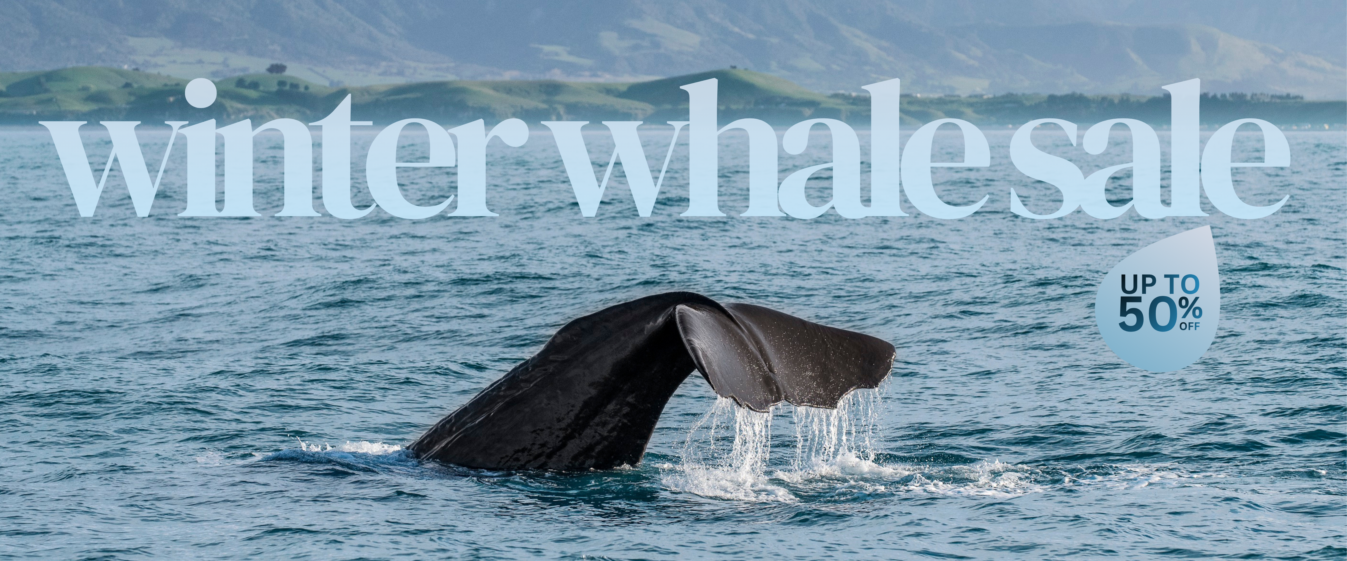 Winter Whale Sale 2026 Winter Whale Sale 2026